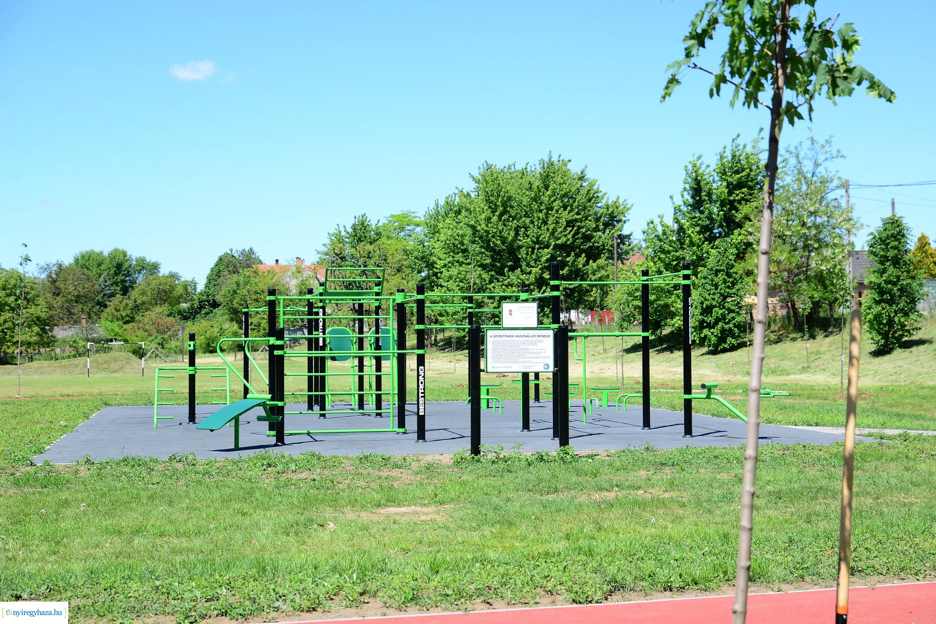 Faültetés Nyírszőlősön