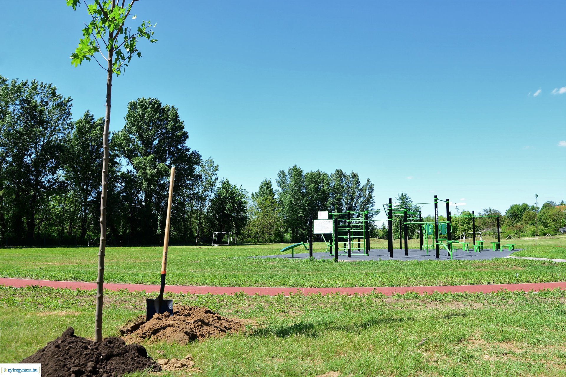 Faültetés Nyírszőlősön