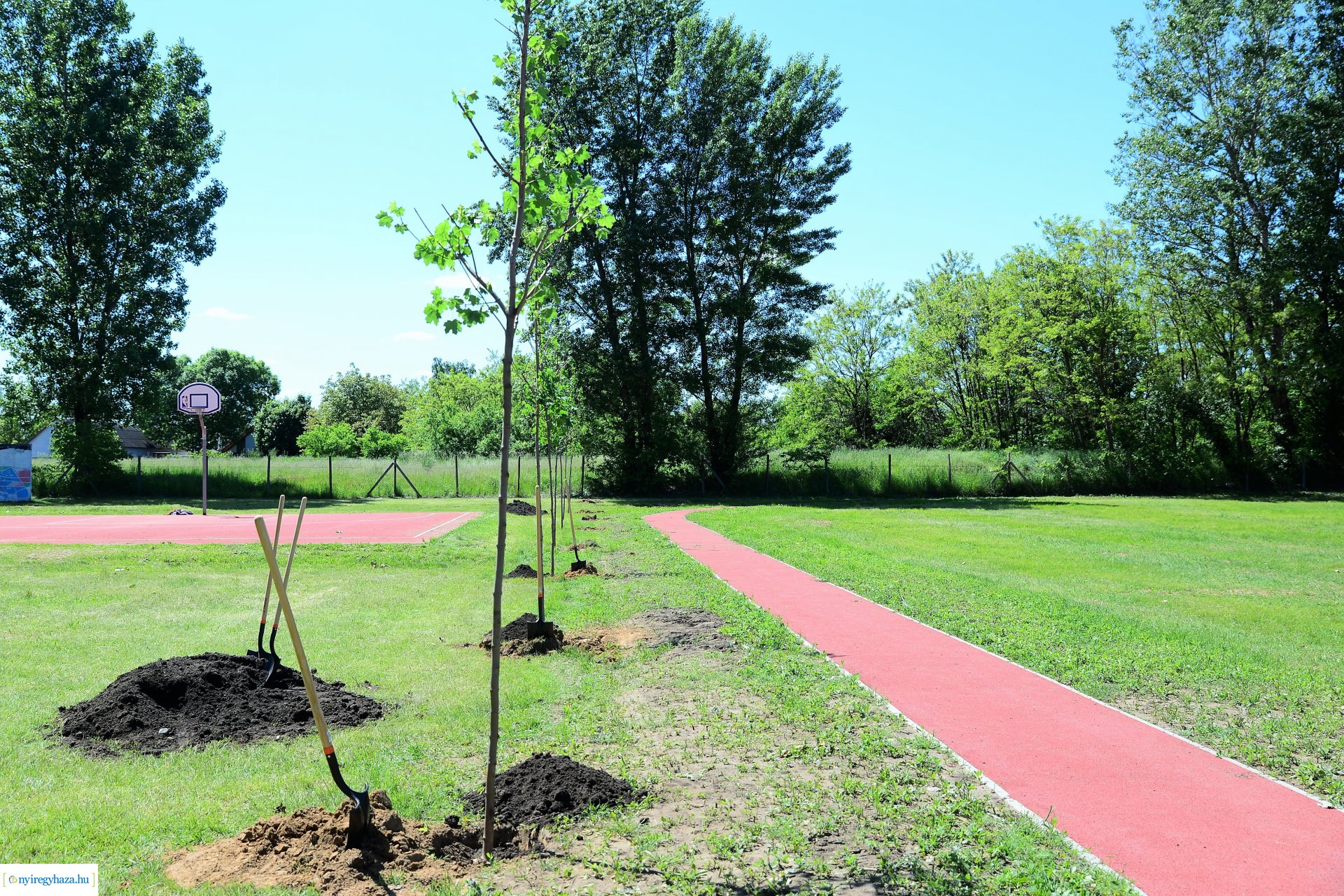 Faültetés Nyírszőlősön