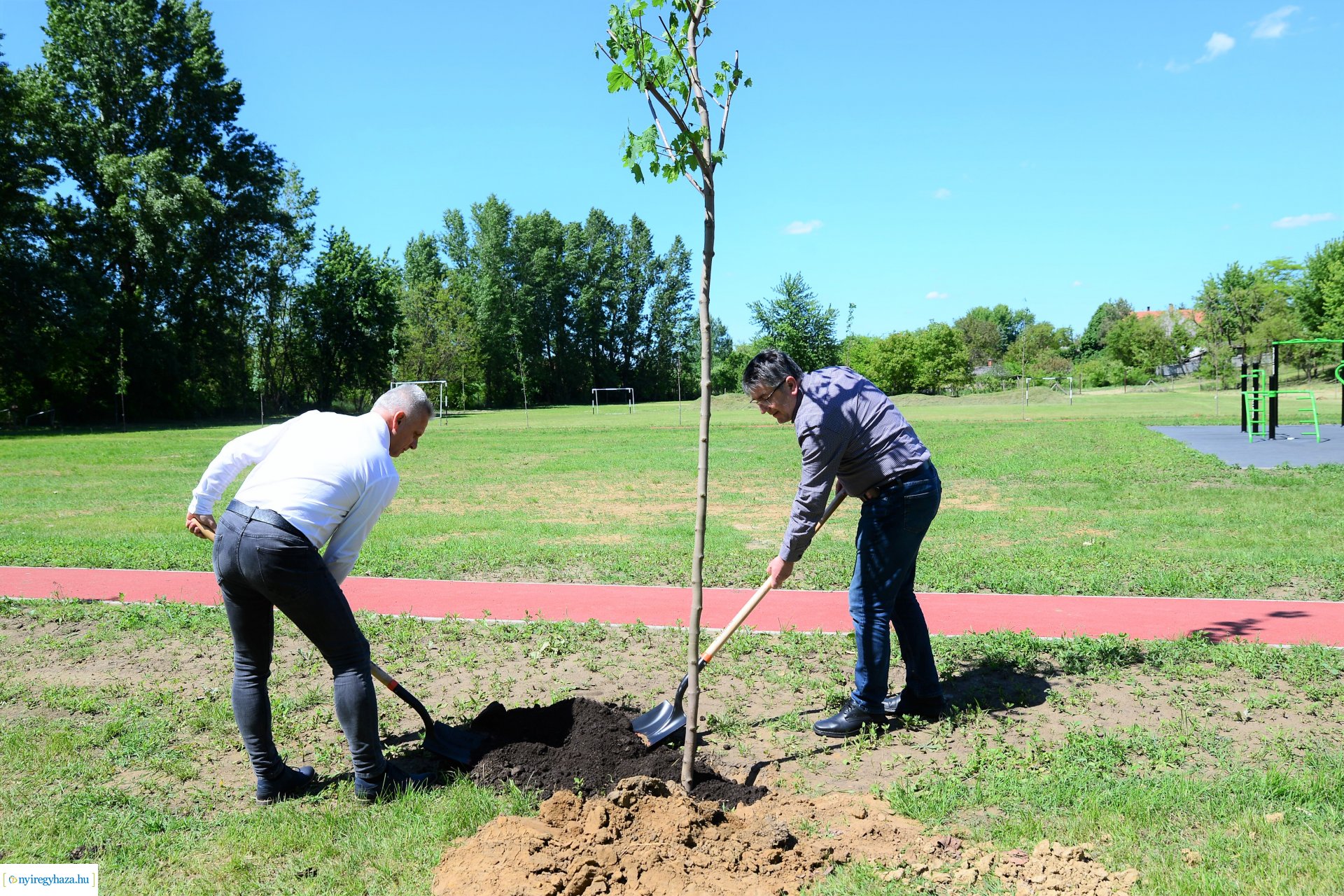 Faültetés Nyírszőlősön