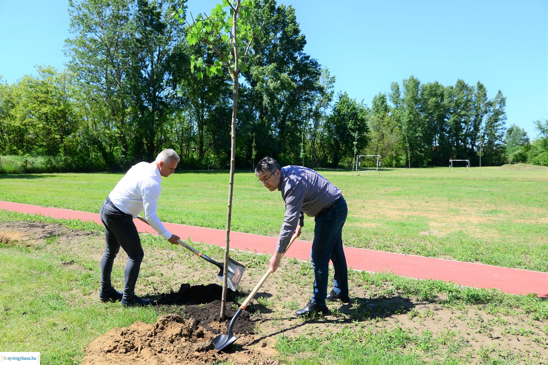 Faültetés Nyírszőlősön
