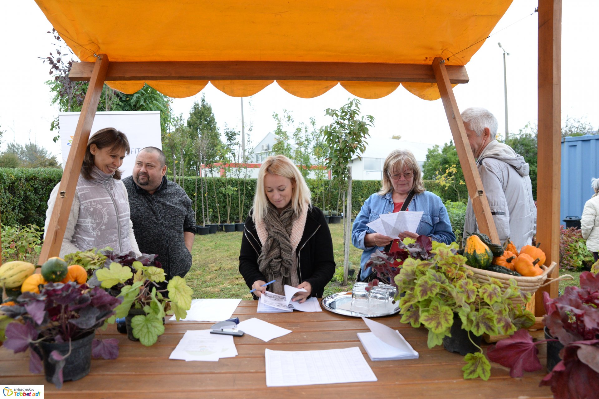 Faültetési akció a Nyírvv-nél