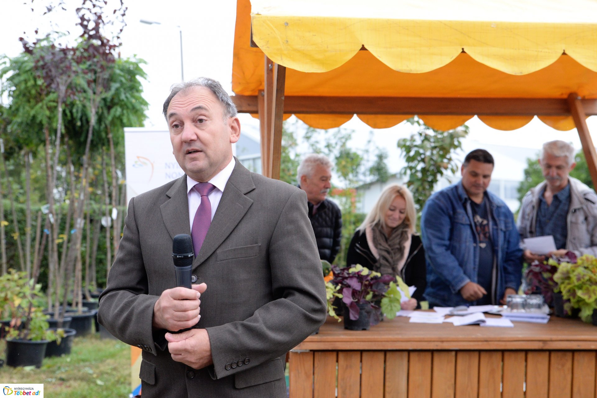 Faültetési akció a Nyírvv-nél