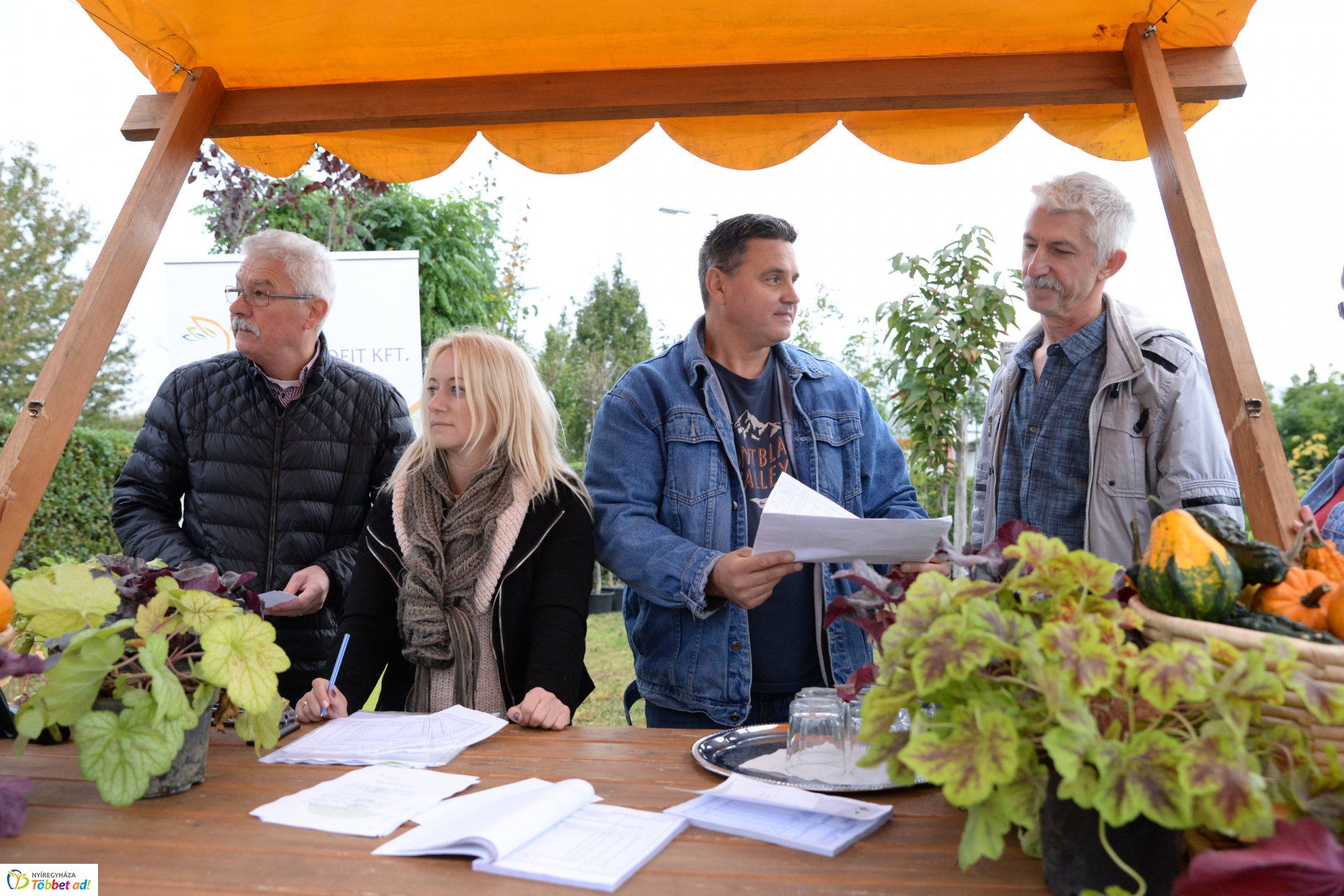 Faültetési akció a Nyírvv-nél