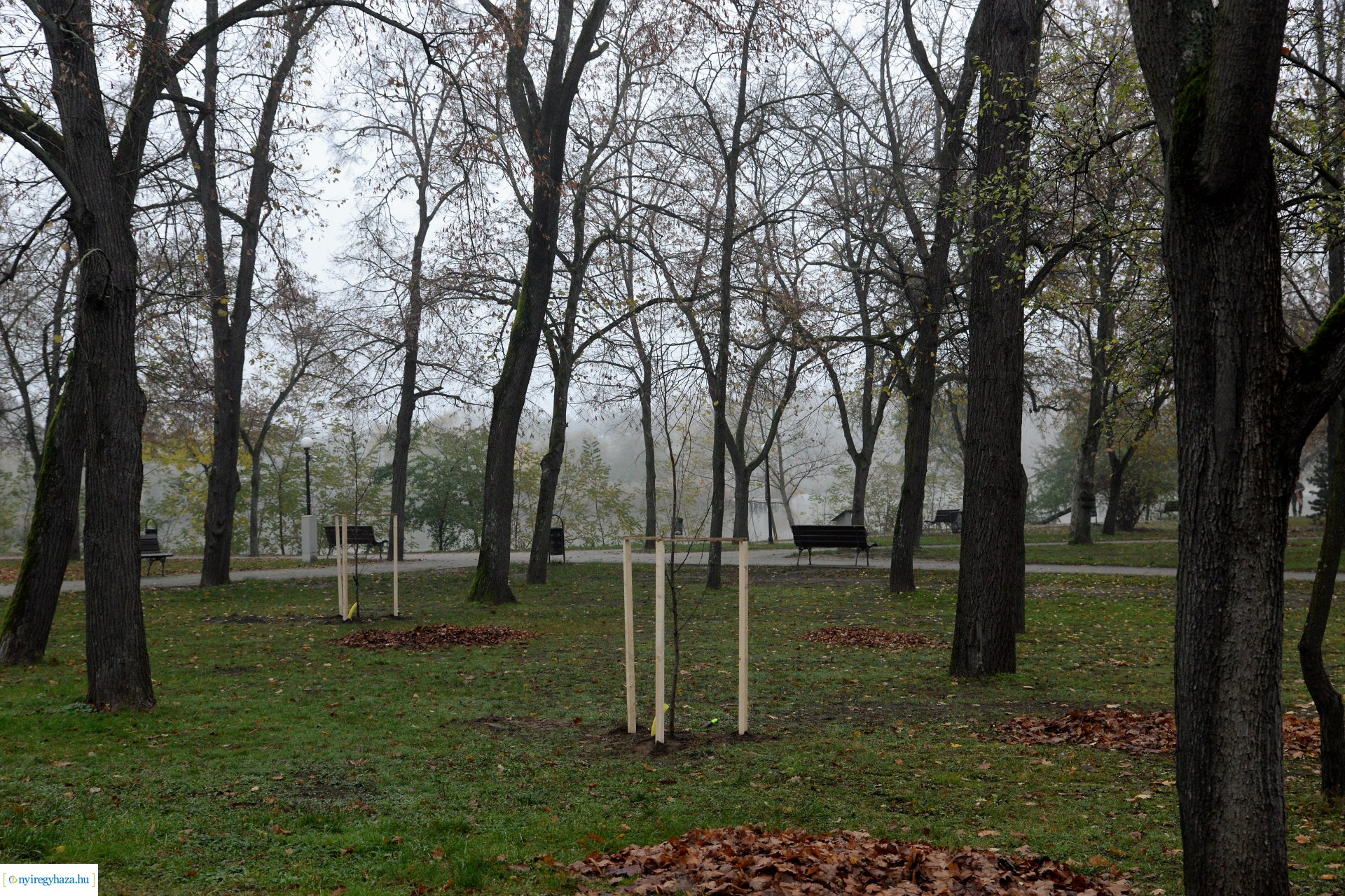 Faültetési program aktuális állapotának bemutatása