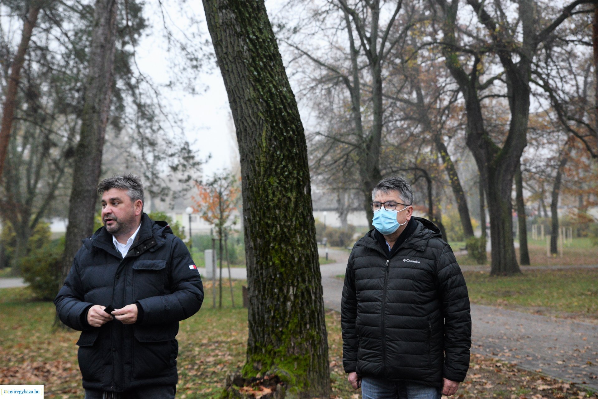 Faültetési program aktuális állapotának bemutatása