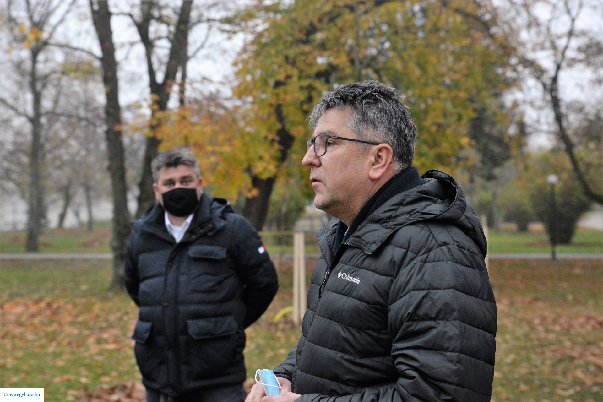 Faültetési program aktuális állapotának bemutatása