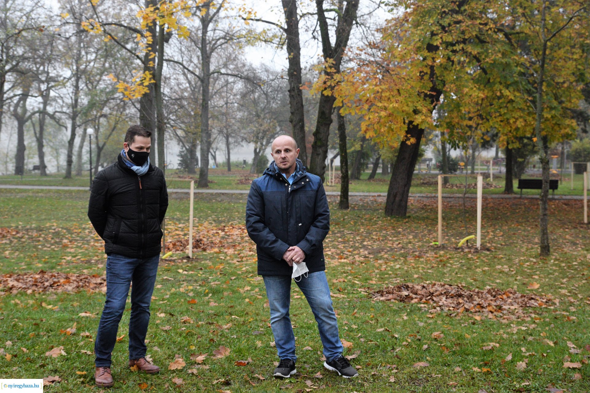 Faültetési program aktuális állapotának bemutatása