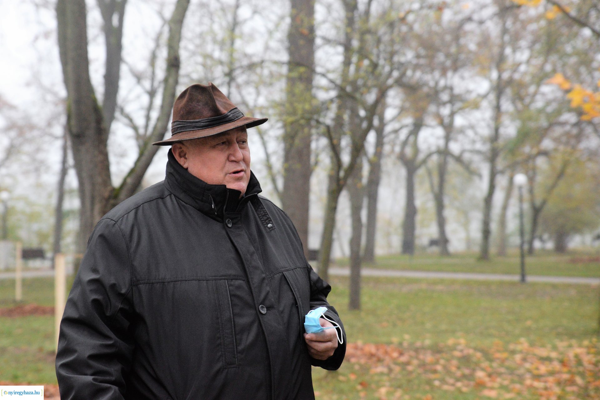 Faültetési program aktuális állapotának bemutatása