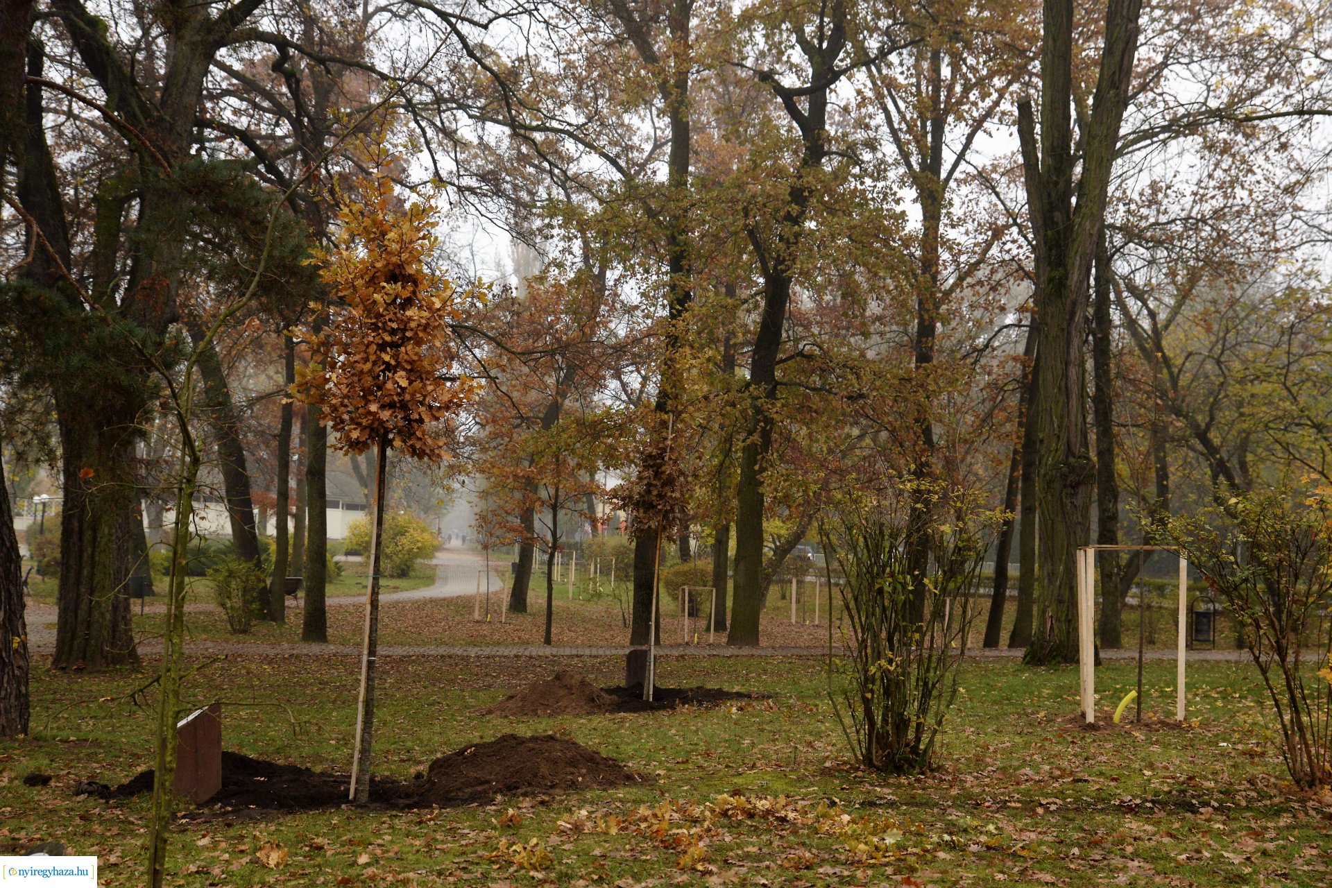 Faültetési program aktuális állapotának bemutatása