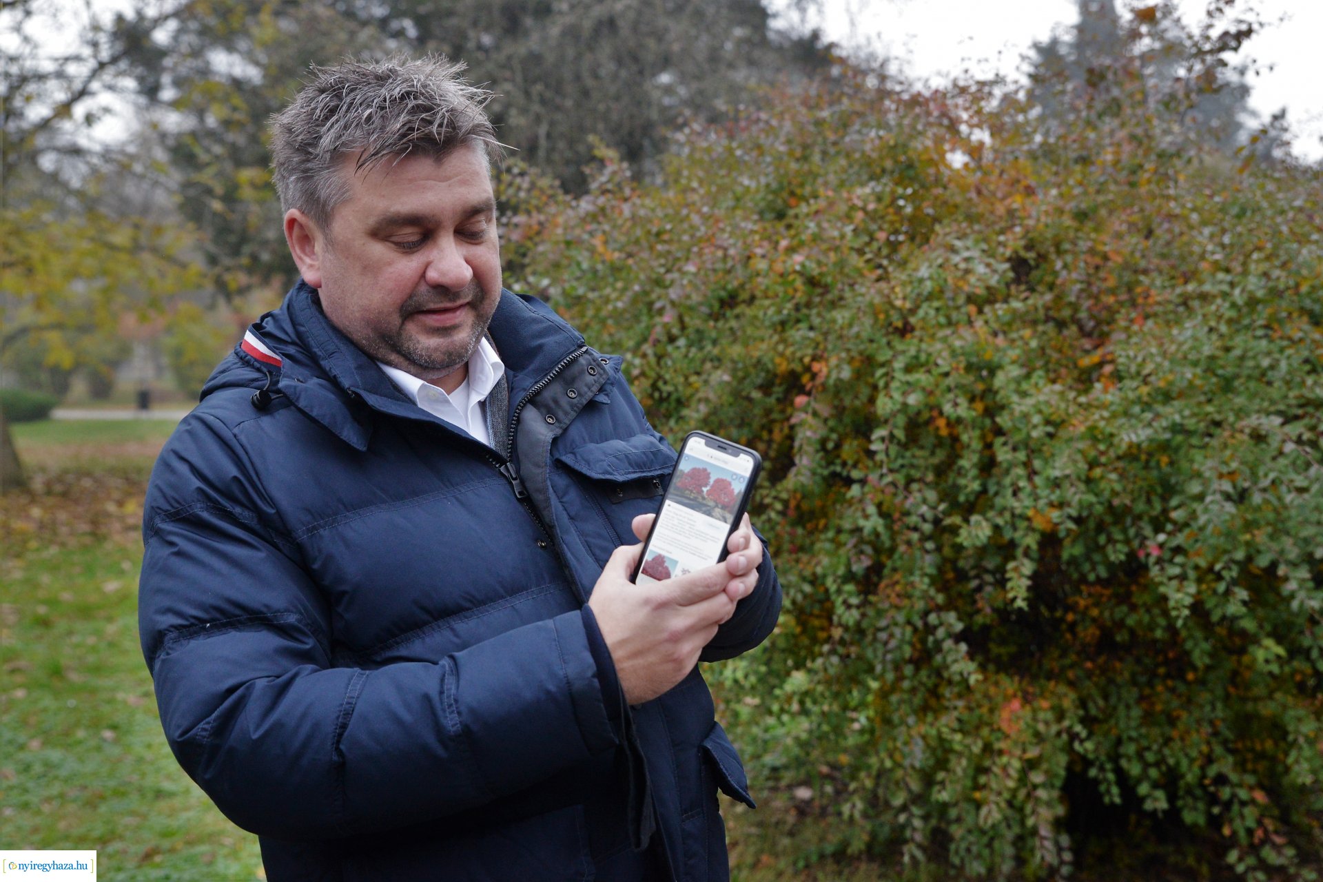 Faültetési program aktuális állapotának bemutatása