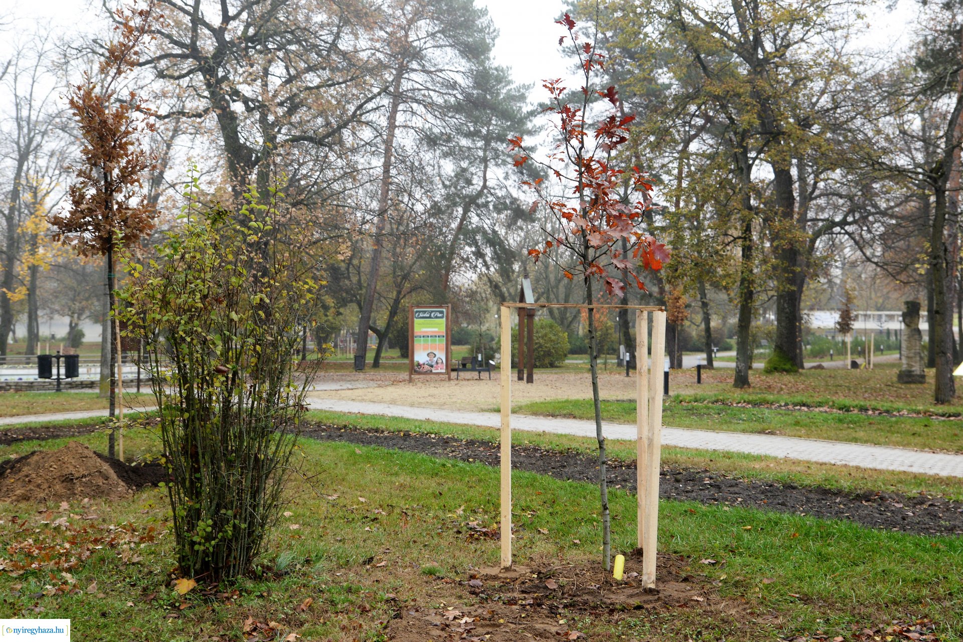 Faültetési program aktuális állapotának bemutatása