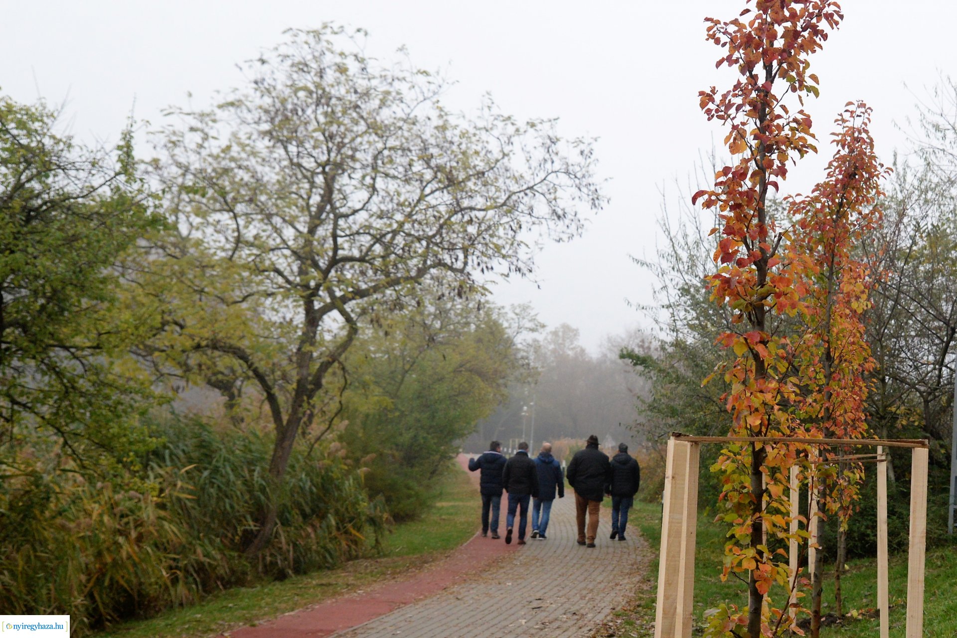 Faültetési program aktuális állapotának bemutatása
