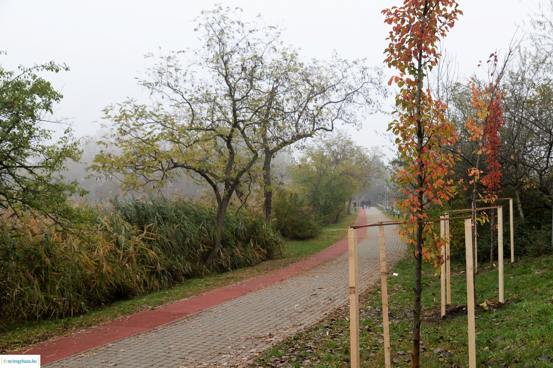 Faültetési program aktuális állapotának bemutatása