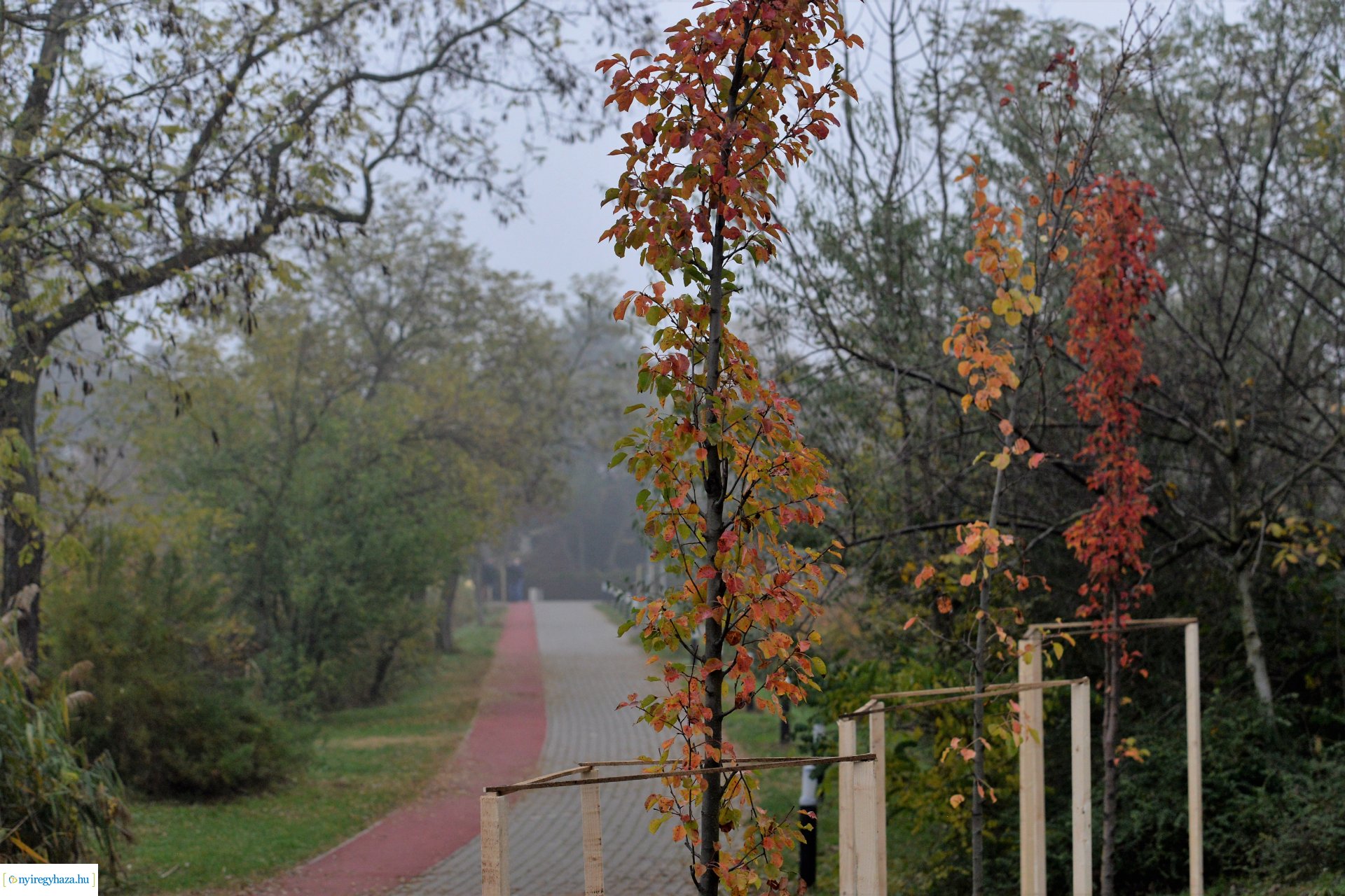 Faültetési program aktuális állapotának bemutatása