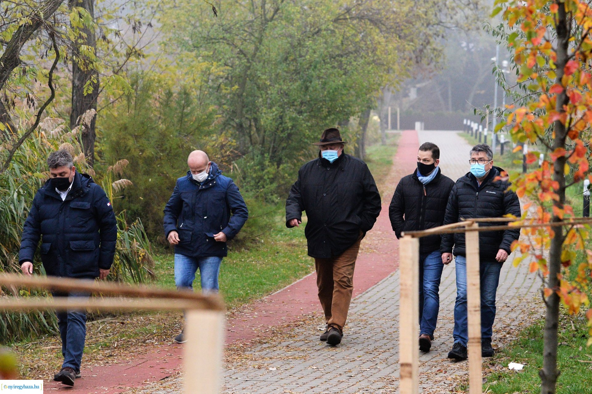 Faültetési program aktuális állapotának bemutatása