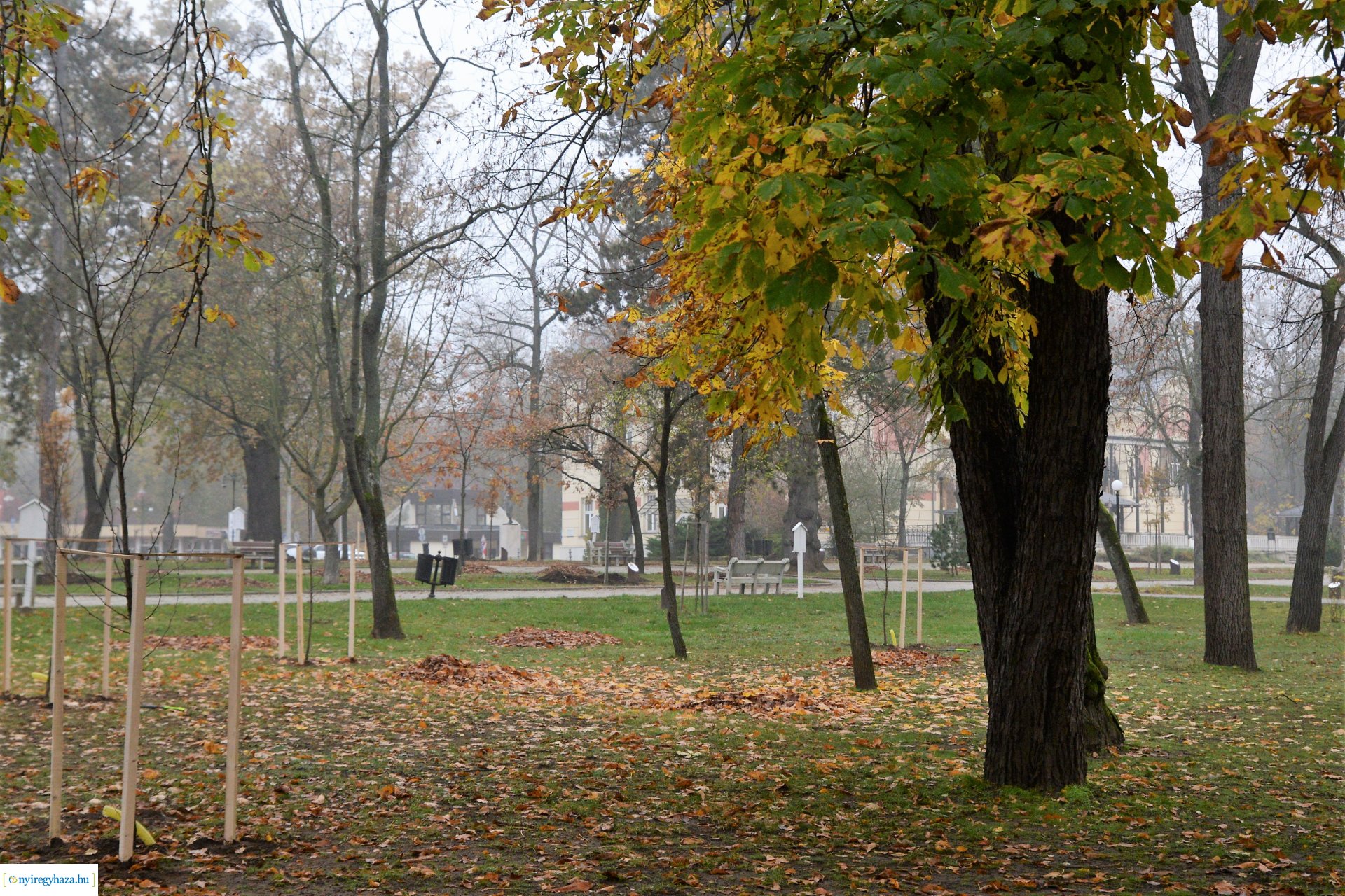 Faültetési program aktuális állapotának bemutatása