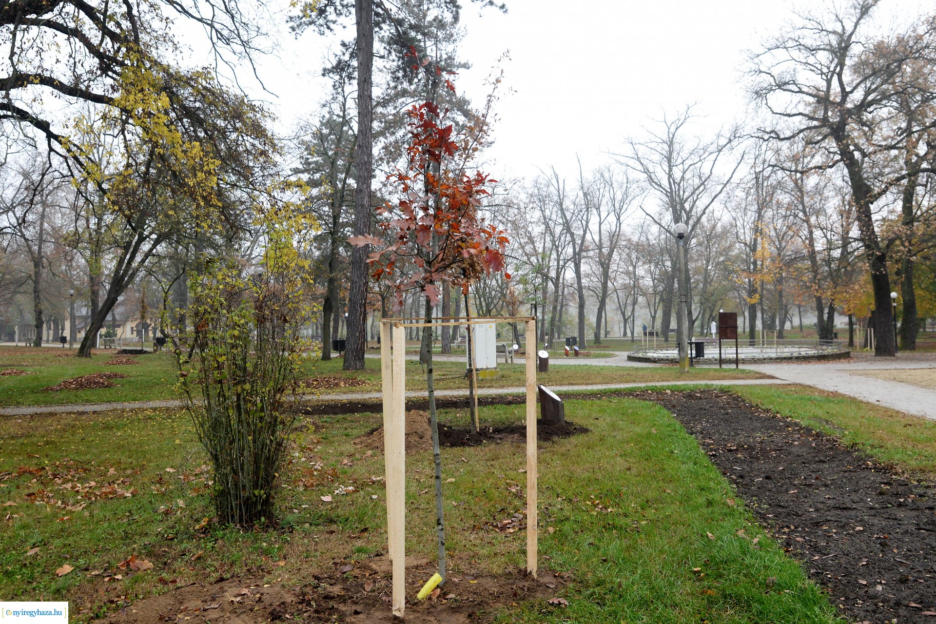 Faültetési program aktuális állapotának bemutatása