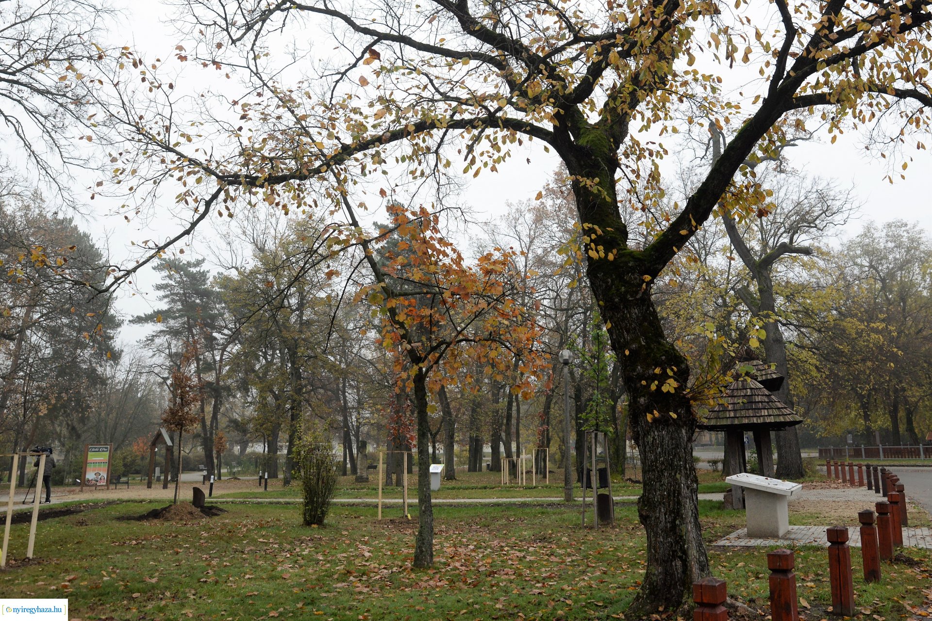 Faültetési program aktuális állapotának bemutatása