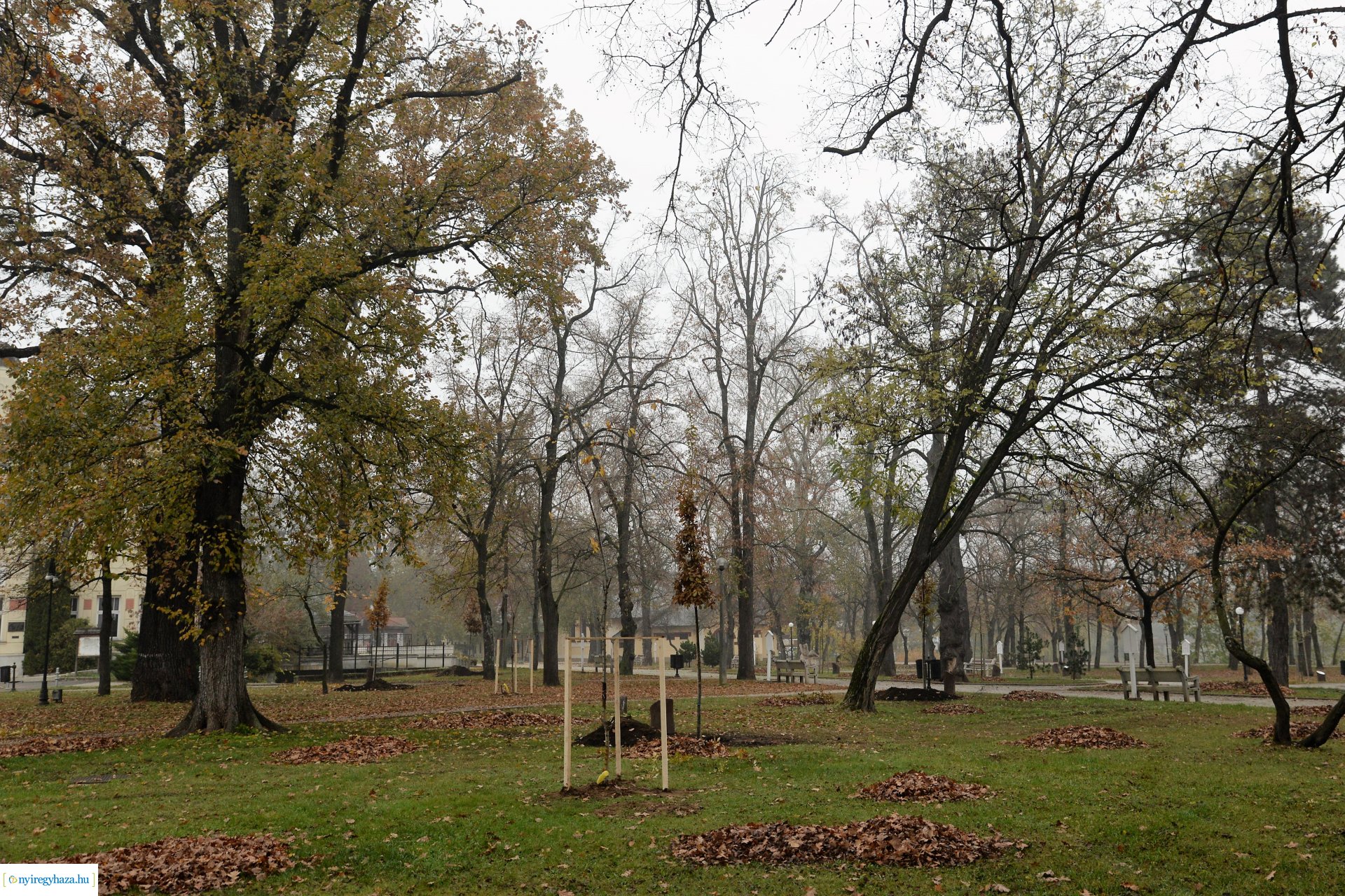 Faültetési program aktuális állapotának bemutatása