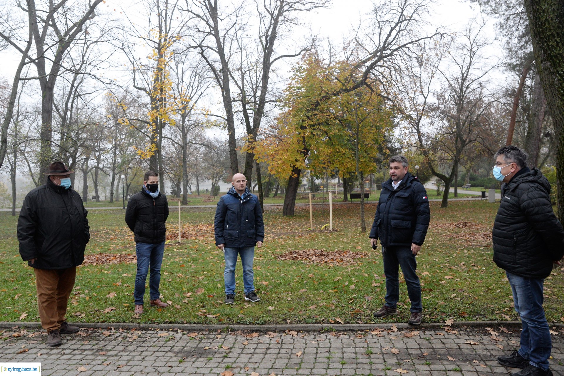 Faültetési program aktuális állapotának bemutatása