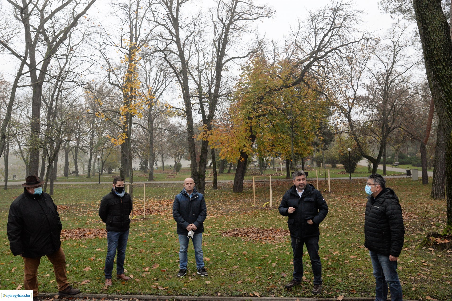 Faültetési program aktuális állapotának bemutatása