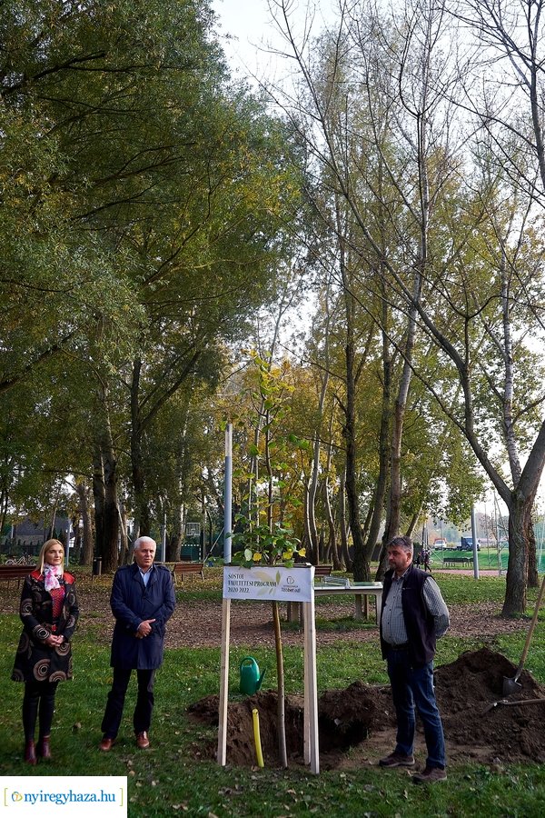 Faültetési program Sóstón