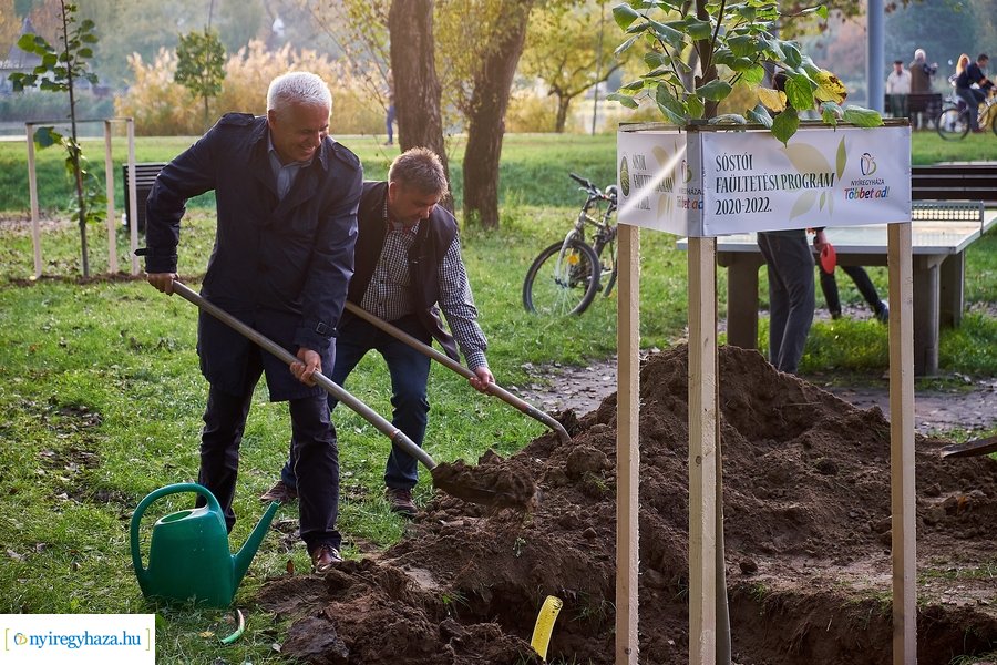 Faültetési program Sóstón