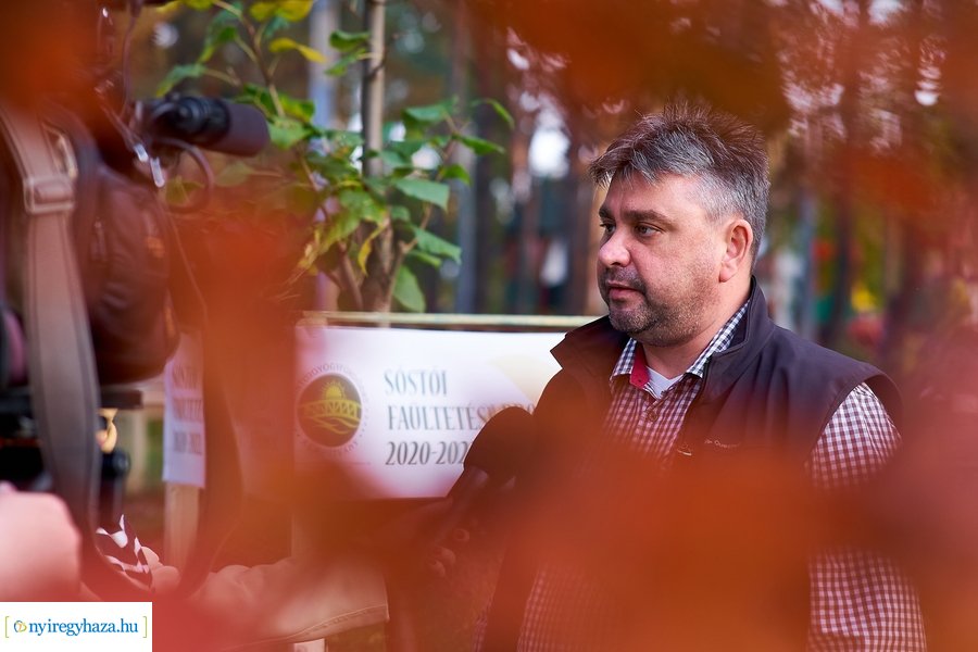 Faültetési program Sóstón