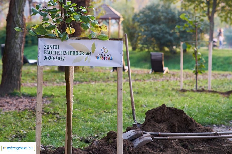 Faültetési program Sóstón