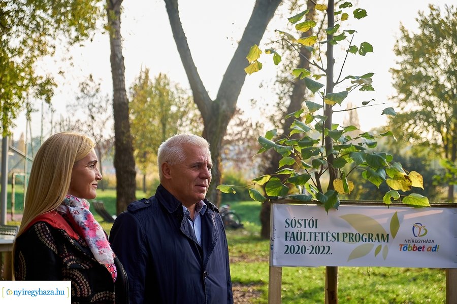 Faültetési program Sóstón