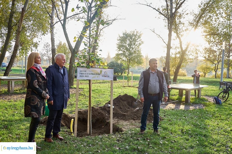 Faültetési program Sóstón