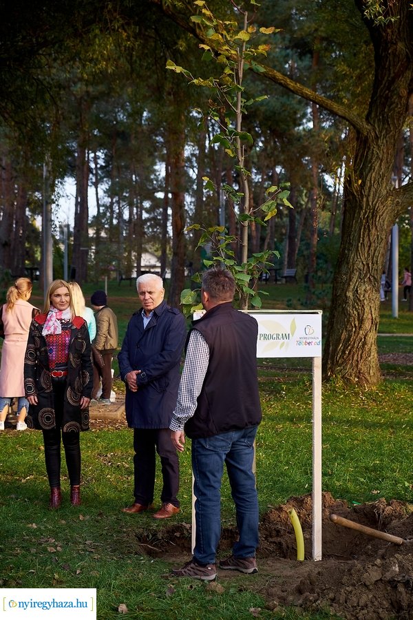 Faültetési program Sóstón