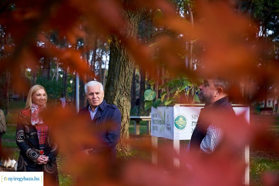 Faültetési program Sóstón