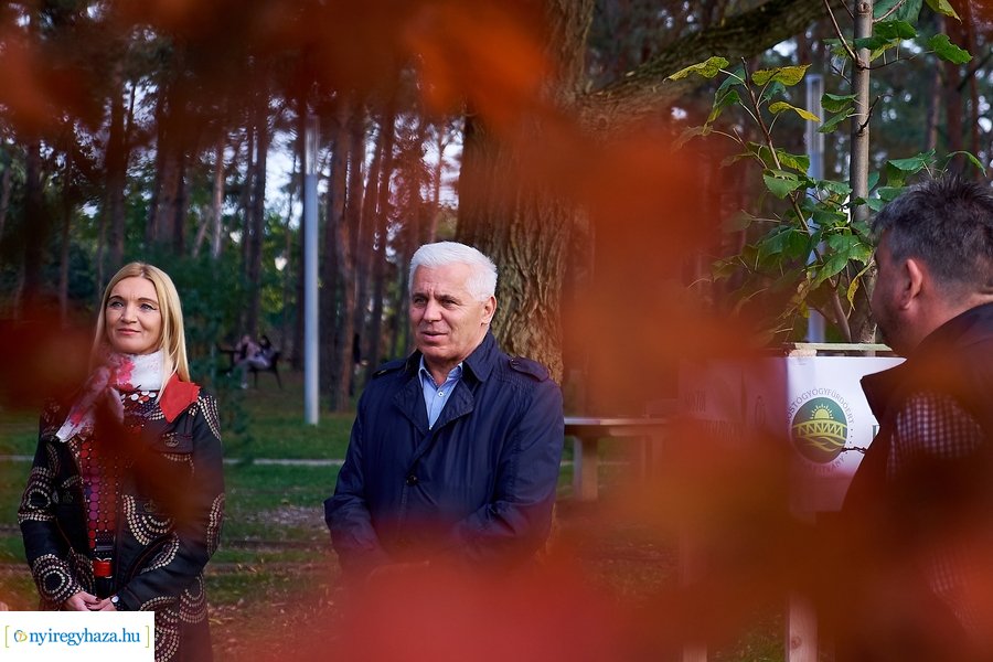 Faültetési program Sóstón