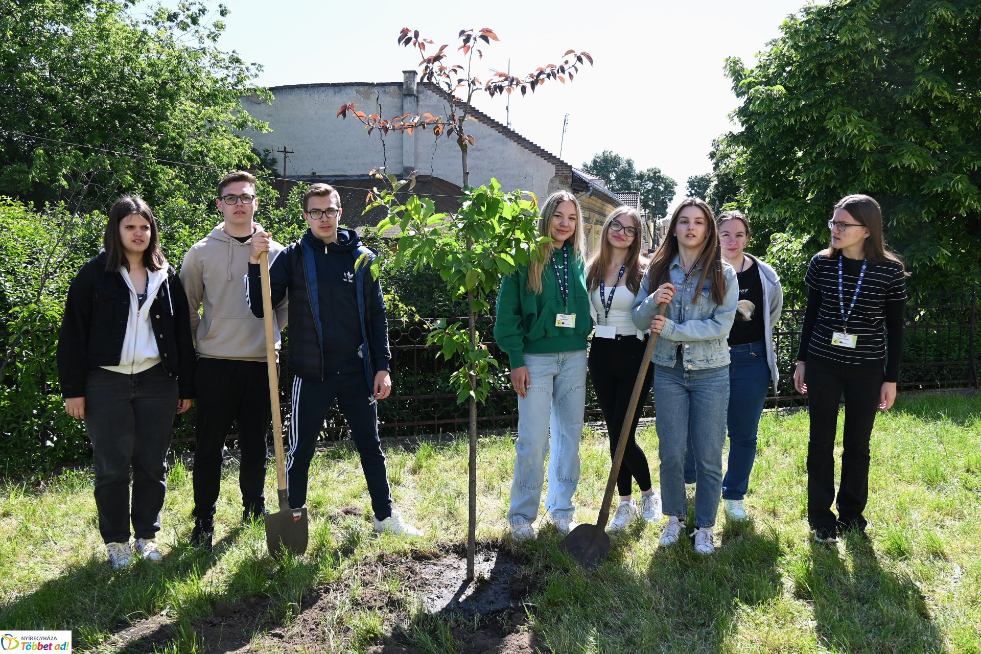 Faültetéssel kezdődött a keddi program a városunkban tartózkodó erasmusos diákoknak