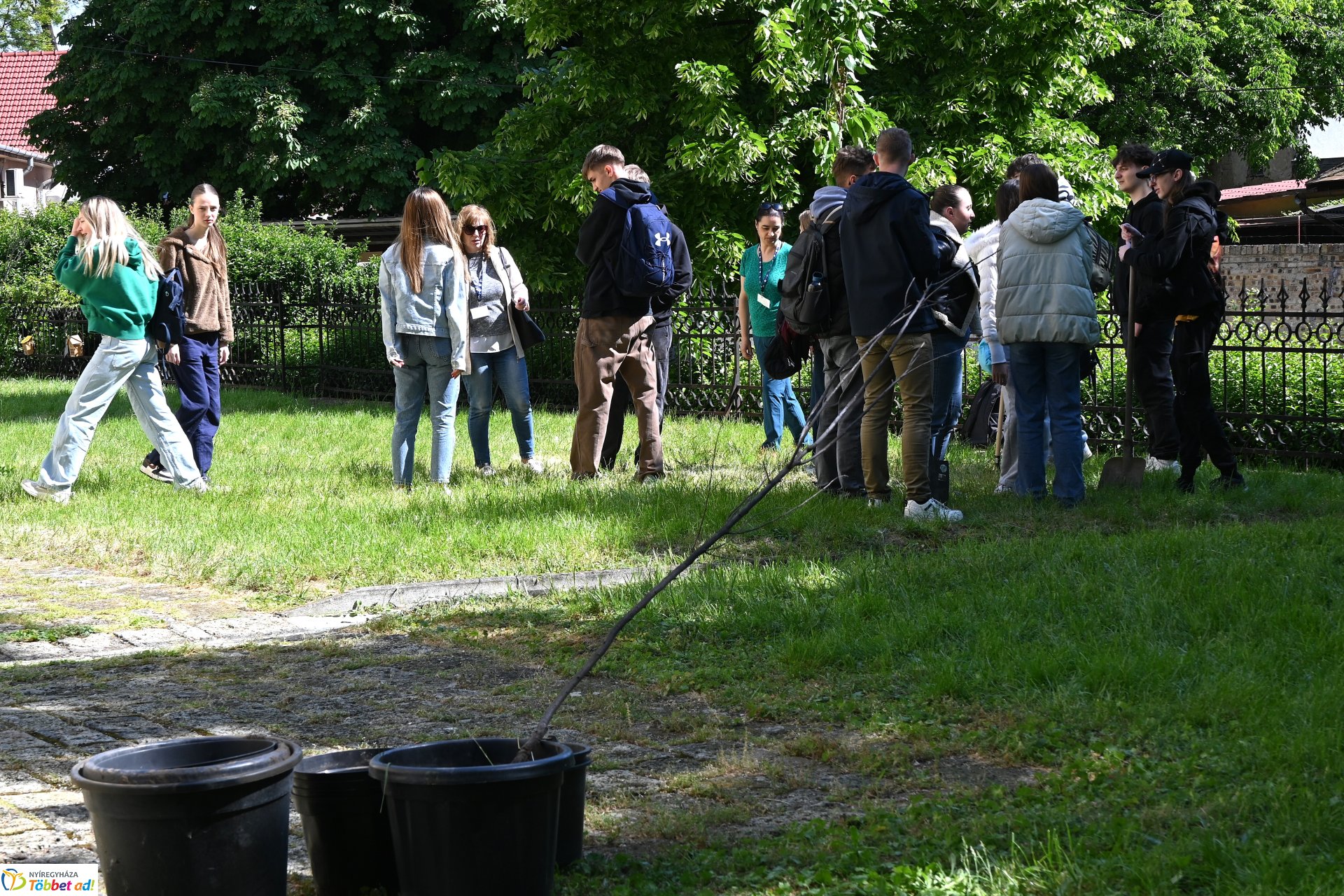 Faültetéssel kezdődött a keddi program a városunkban tartózkodó erasmusos diákoknak