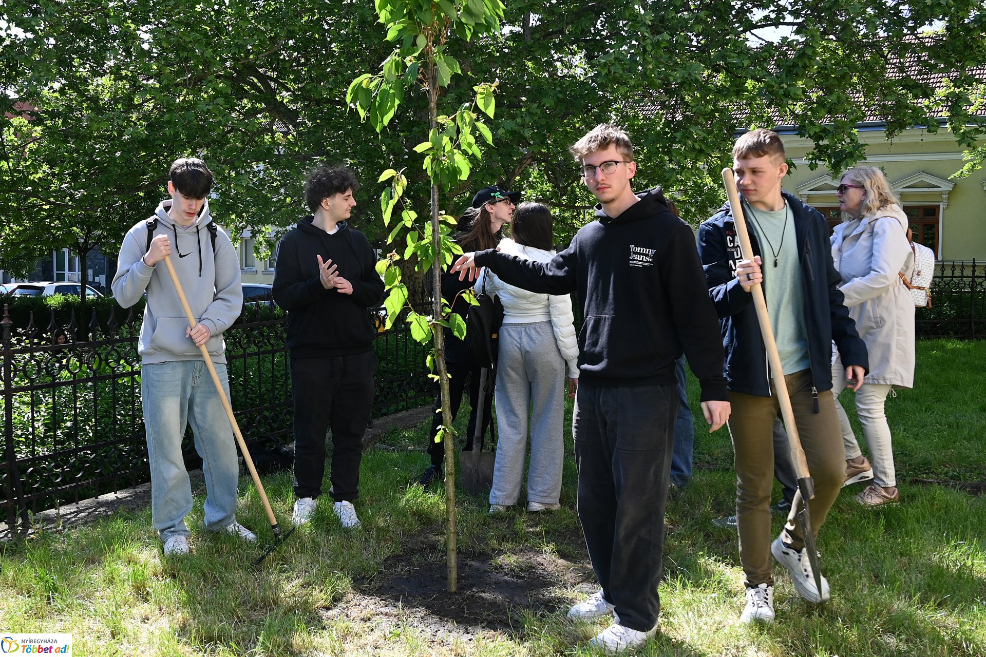 Faültetéssel kezdődött a keddi program a városunkban tartózkodó erasmusos diákoknak