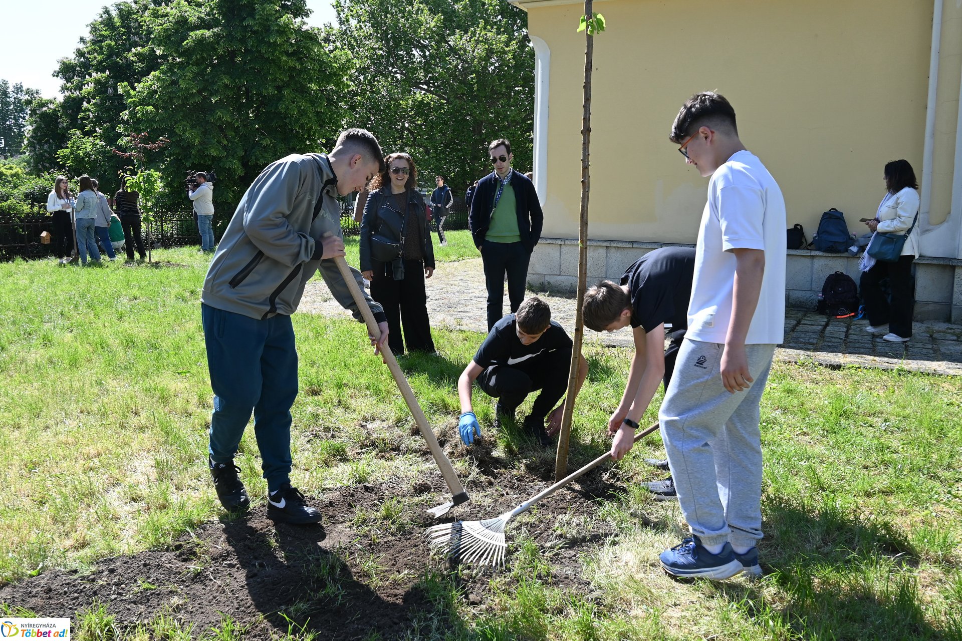 Faültetéssel kezdődött a keddi program a városunkban tartózkodó erasmusos diákoknak