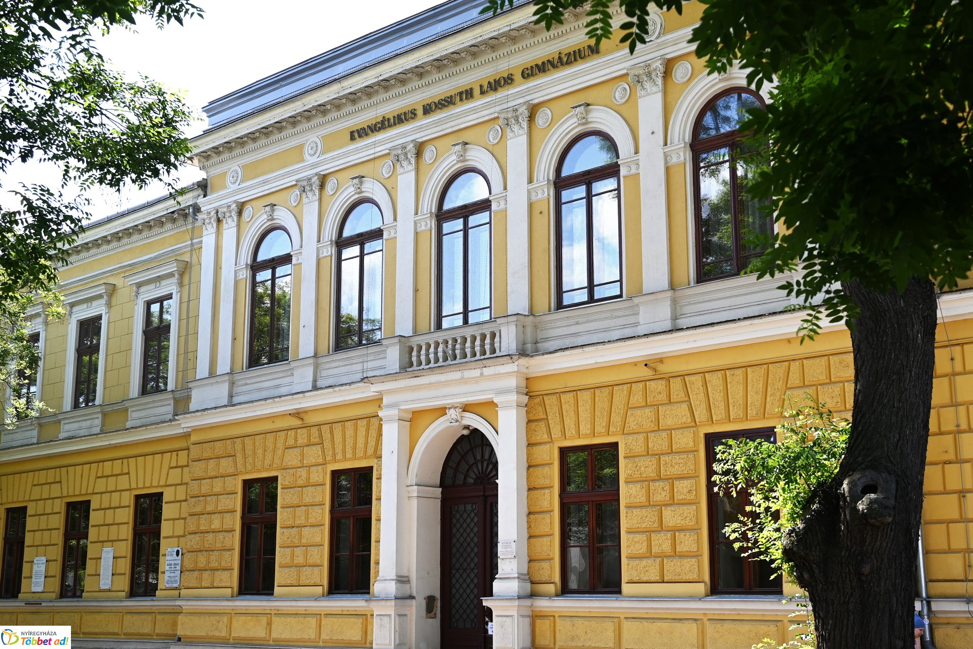 Faültetéssel kezdődött a keddi program a városunkban tartózkodó erasmusos diákoknak