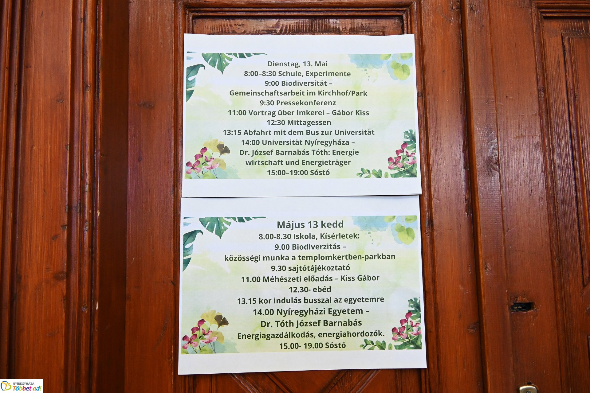 Faültetéssel kezdődött a keddi program a városunkban tartózkodó erasmusos diákoknak