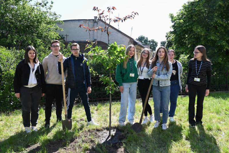 Faültetéssel kezdődött a keddi program a városunkban tartózkodó erasmusos diákoknak