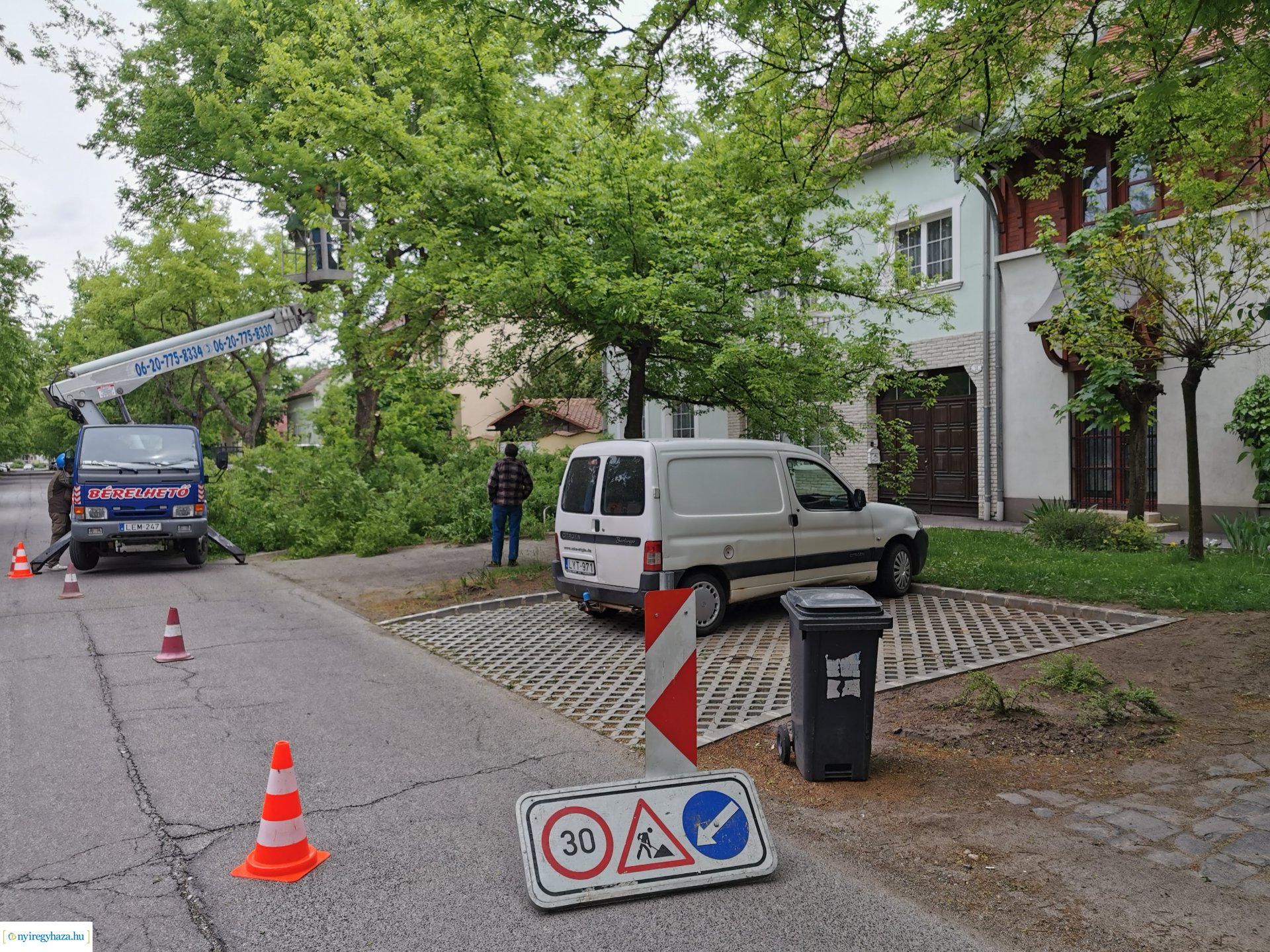 Favágás a Pacsirta utcán