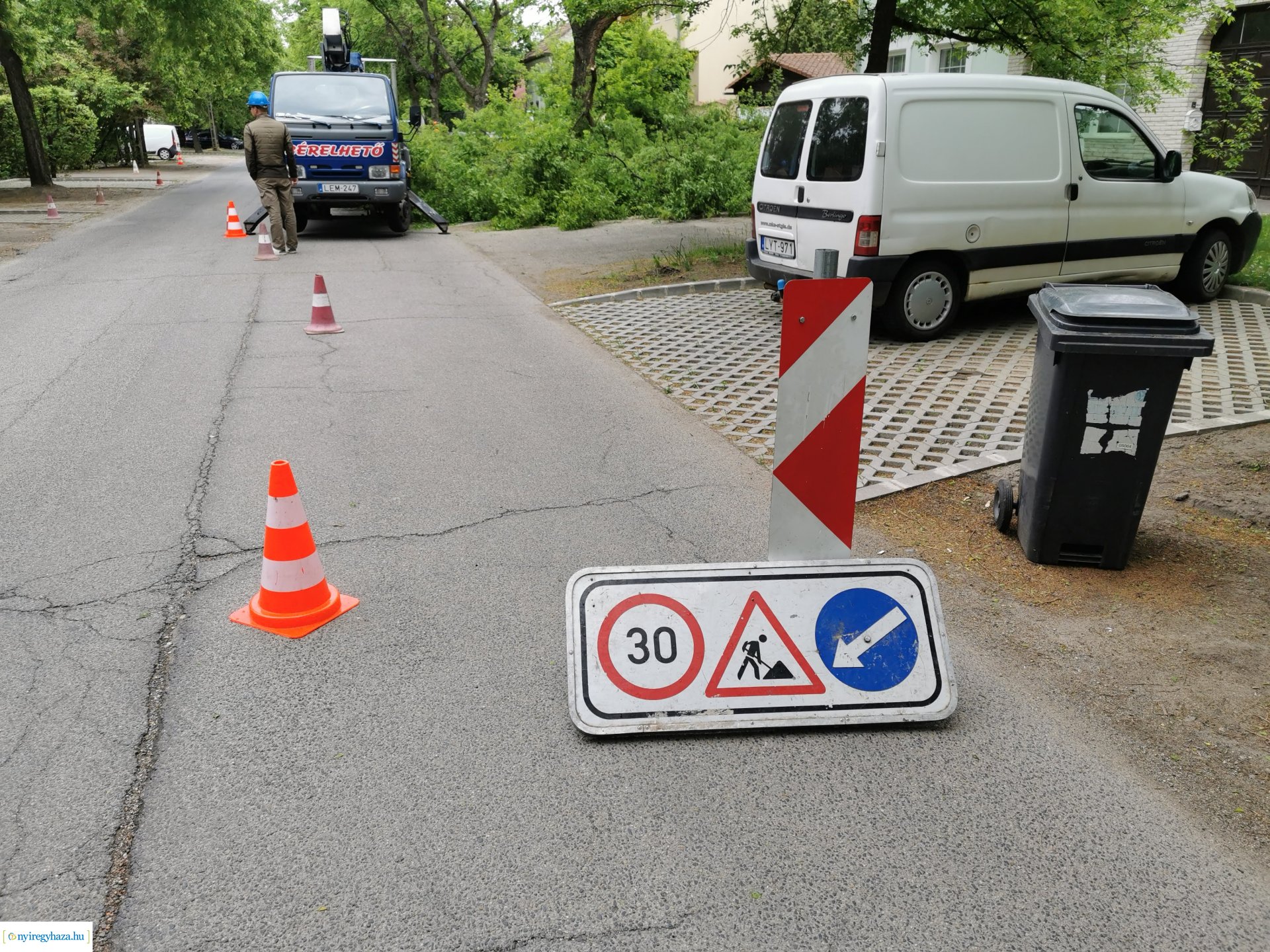 Favágás a Pacsirta utcán