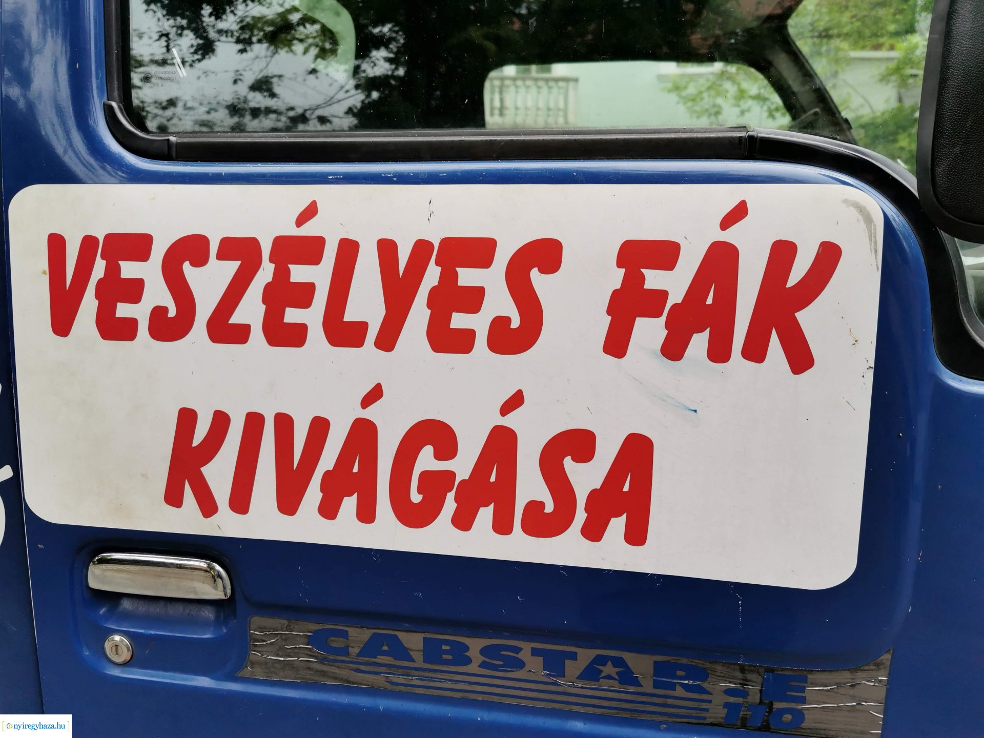 Favágás a Pacsirta utcán