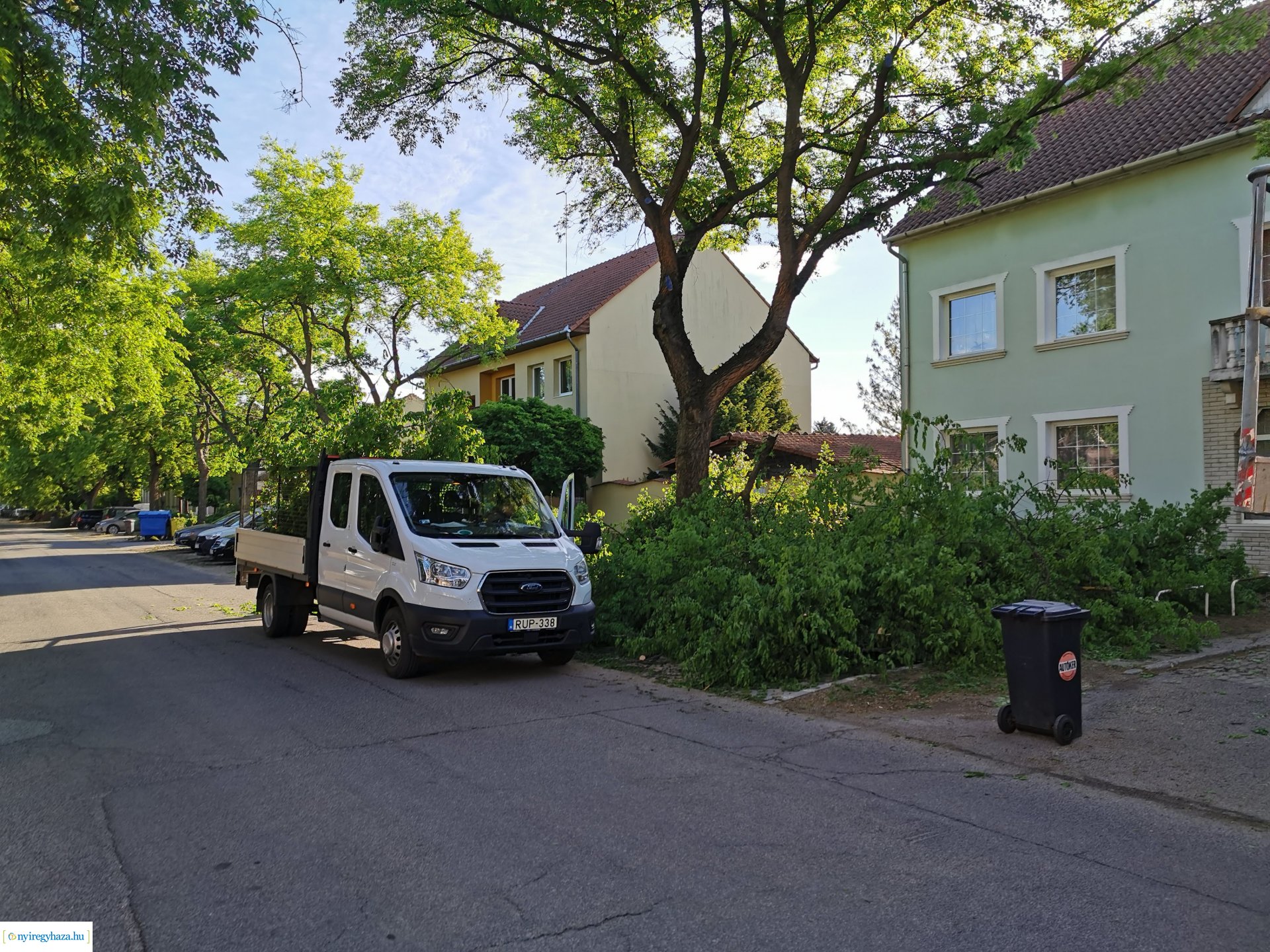 Favágás a Pacsirta utcán