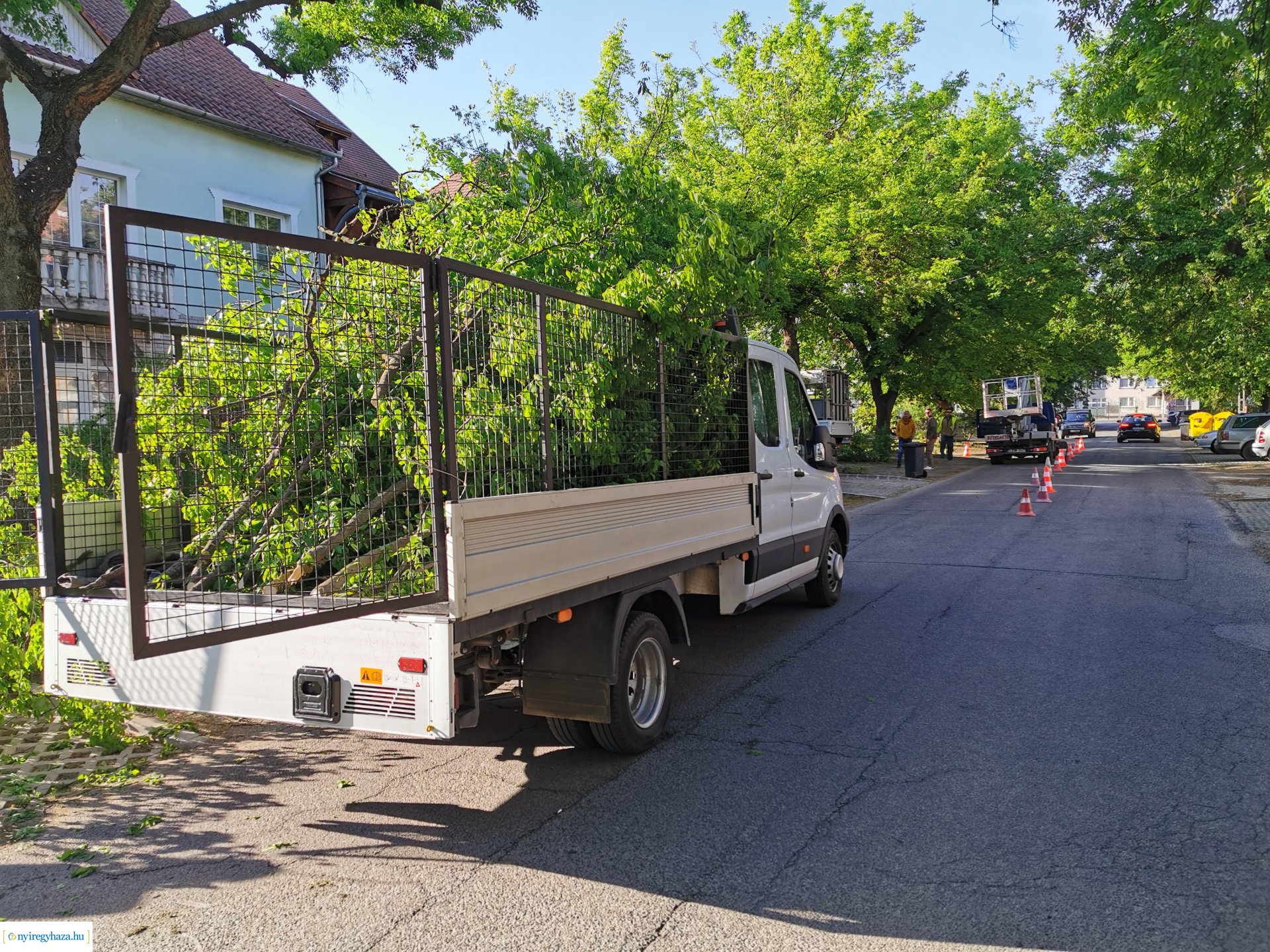 Favágás a Pacsirta utcán