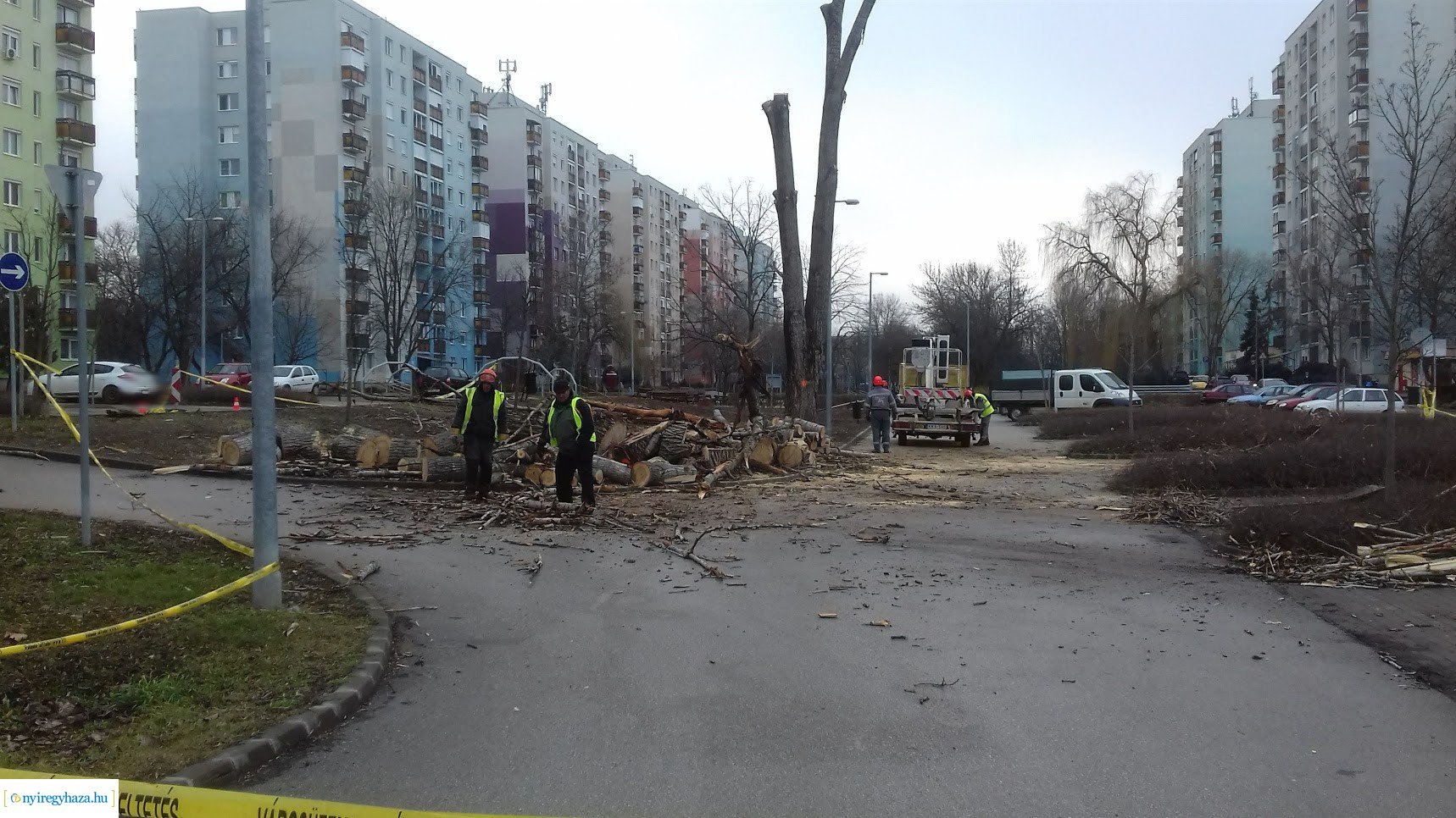 Favágás a Toldi utcán