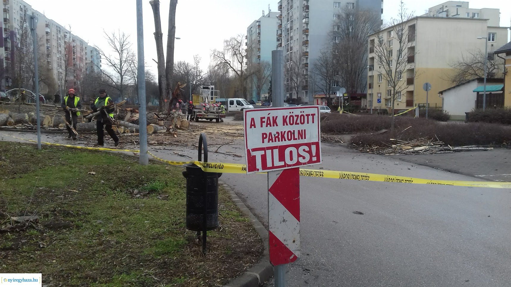 Favágás a Toldi utcán