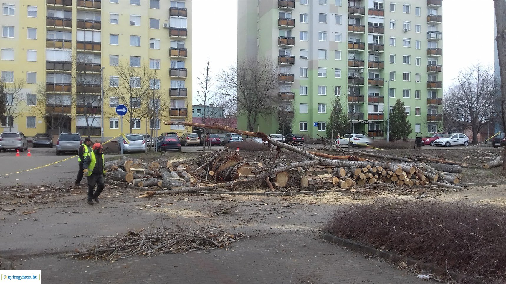 Favágás a Toldi utcán